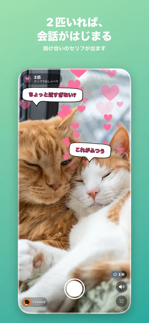 2匹の猫が掛け合いで会話している画面
